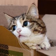nnrootnskru